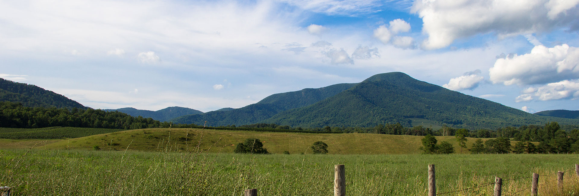 Horse field with the Blue Ridge Mountains in the background